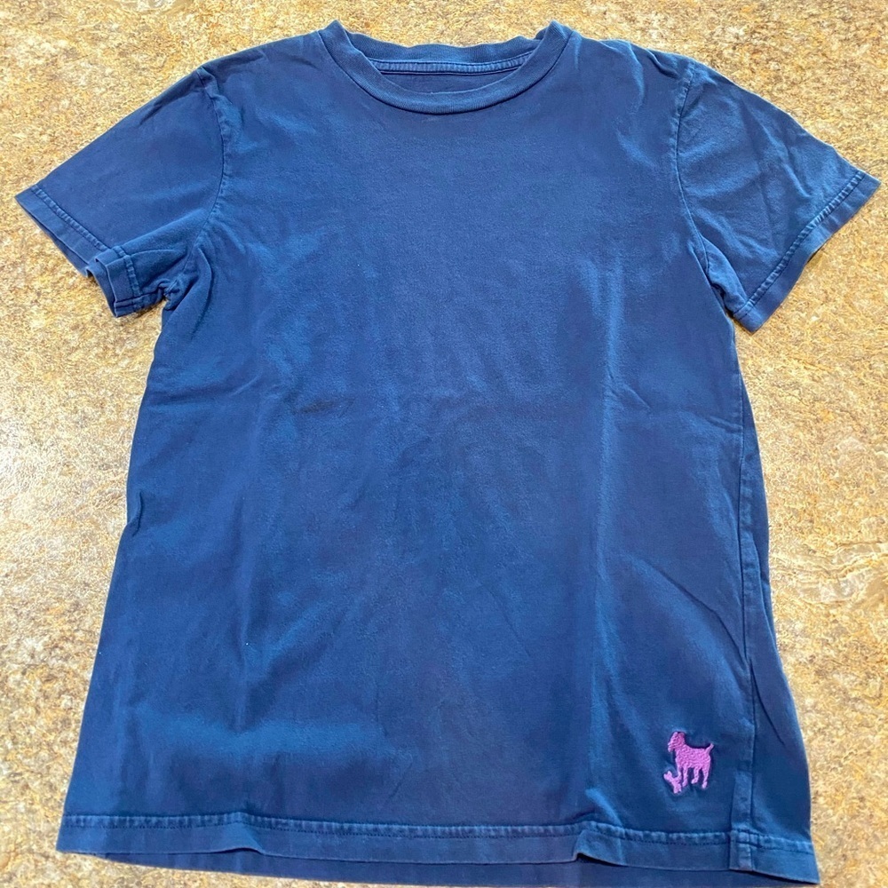 Mini Boden Shirt